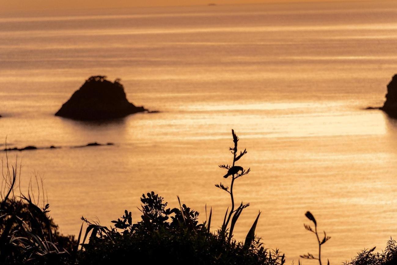 Apartmán Cathedral Cove And Sunrise Hahei Exteriér fotografie
